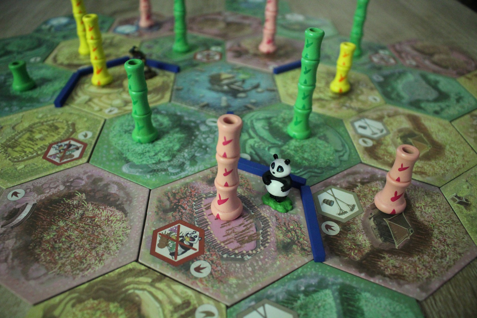 Takenoko - recenzja gry planszowej