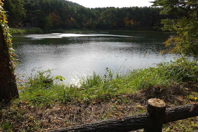 鳥取県西伯郡伯耆町丸山　ロイヤルシティ大山　別荘地　大成池