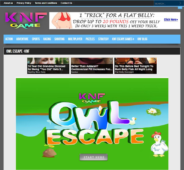  http://www.knfgame.com/owl-escape-knf/