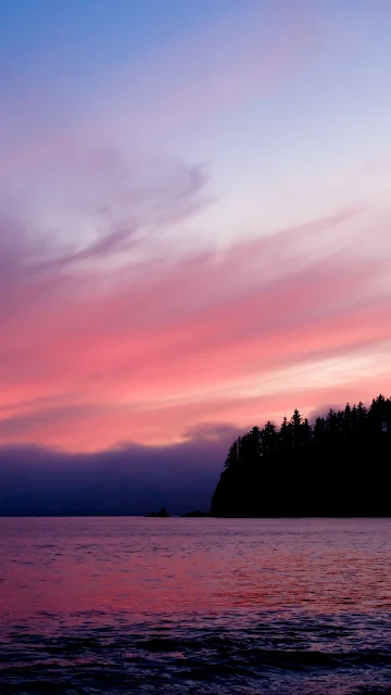 Pink Twilight Clouds, Sea, Trees, Clouds, Sunset, Evening