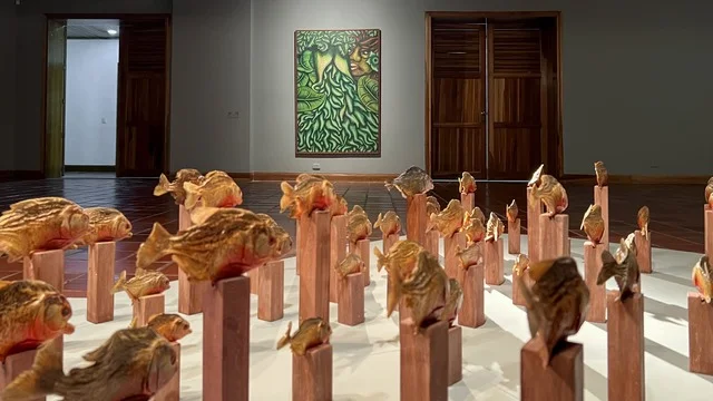 ¨ALTER NATURA¨, Museo de Arte de Pereira