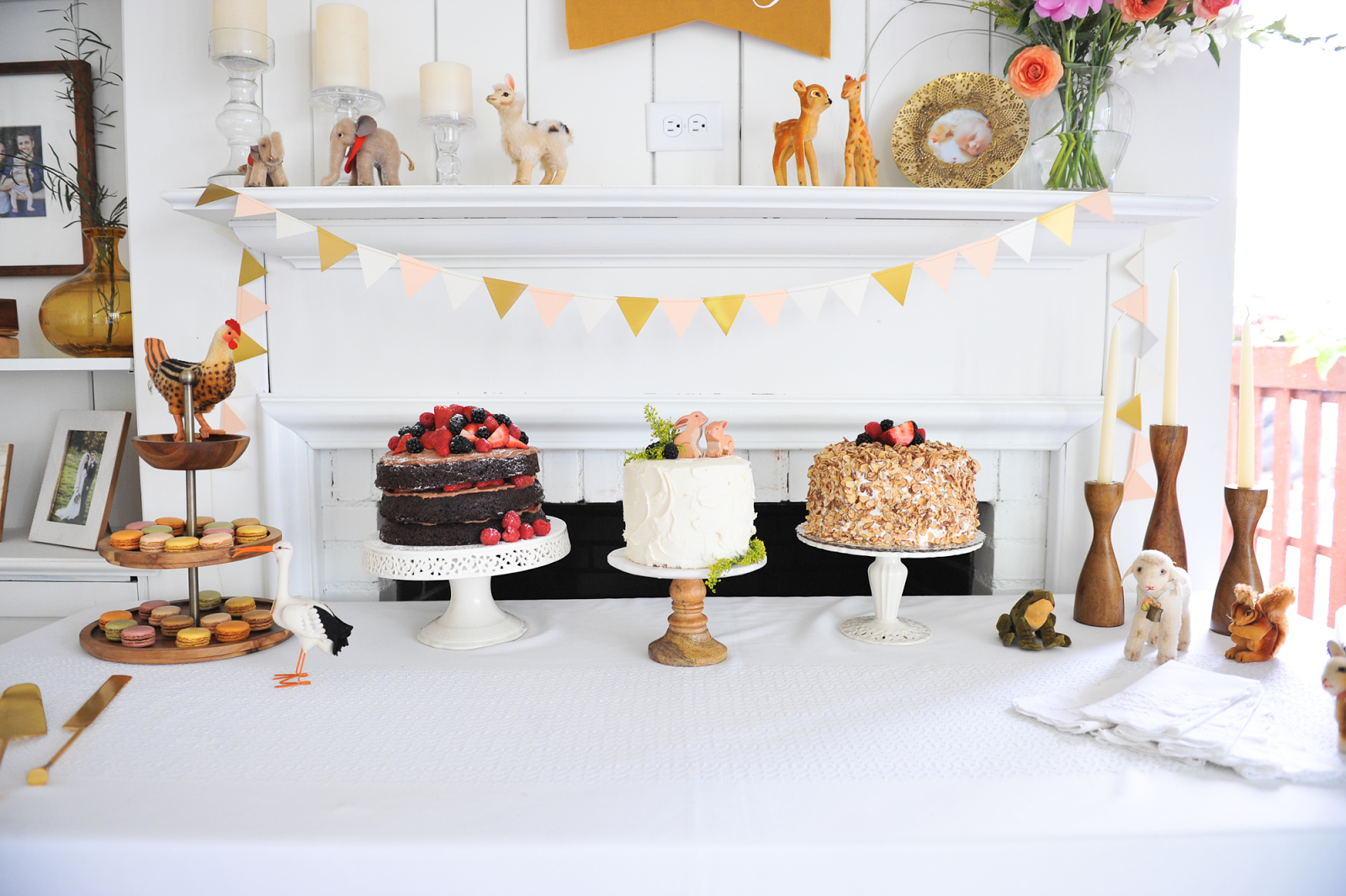 Flora and Fauna 1st Birthday Party Modern Kids