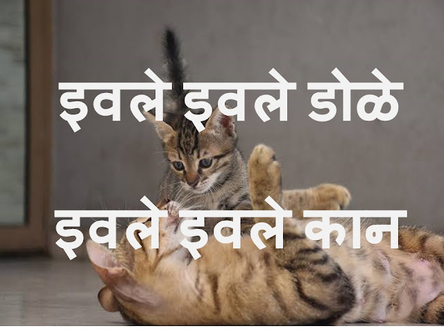 छान छान छान मनीमाऊचं बाळ (मराठी बालगीत) | Kitten Song - Marathi Baalgeet