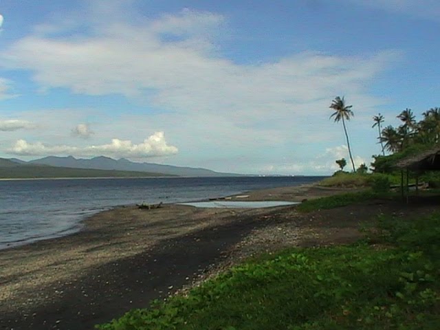 pantai wongsorejo