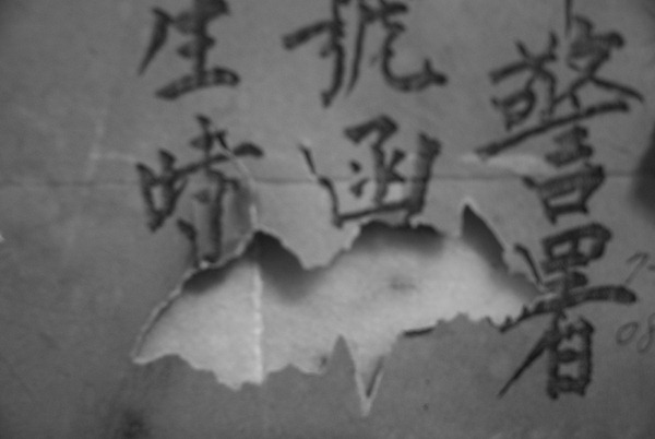110224(110227-000014)