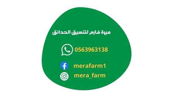 شركة ميرة فارم meerafarm لتنسيق الحدائق في أبوظبي