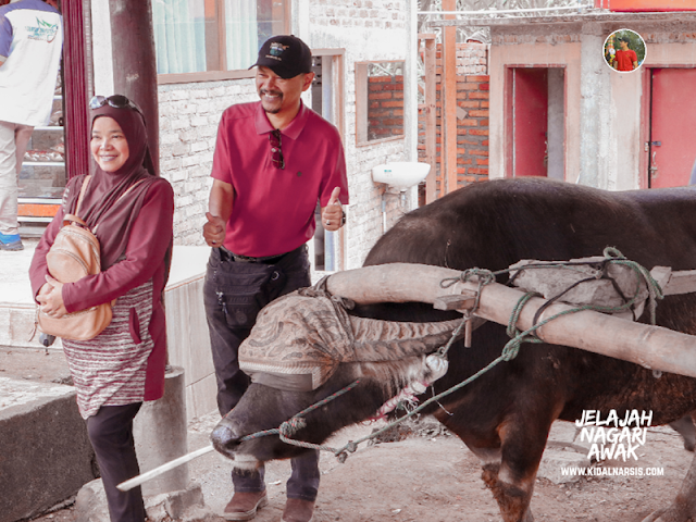 Gula Tebu Lawang