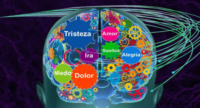 ¡El color que elijas  de la rueda de emociones determinará tu personalidad! 