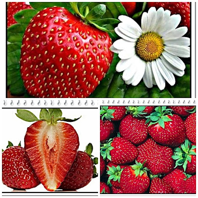 Benefits strawberries for human health and beauty