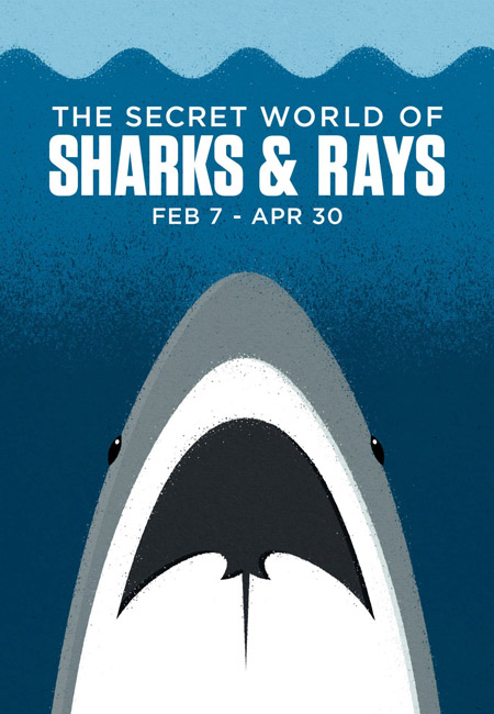 THEISPOT.COM: Illustration News: Zara Picken: Vancouver Aquarium