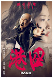 港囧（Lost in Hong Kong）poster