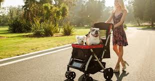 https://petroverusa.com/collections/strollers/products/pet-rover-xl-extra-long-premium-stroller-for-small-medium-large-dogs-cats-and-pets-pink