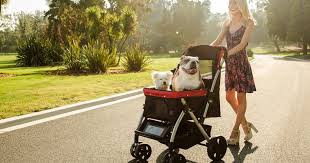 https://petroverusa.com/products/pet-rover-premium-stroller-for-small-medium-large-dogs-cats-and-pets-navy-blue