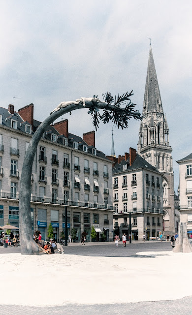 la terre ou les arbres revent laurent pernot nantes