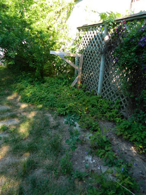 Dovercourt Park Backyard Garden Cleanup Before by Paul Jung Gardening Services--a Toronto Gardening Company