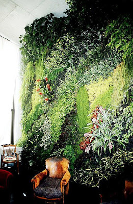 Organic Wallpaper Inside A Private Home