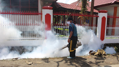 Meningkatnya Kasus DBD di Toraja Utara, Dinas Kesehatan Gencar Lakukan Fogging