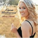 Carrie Underwood - Before He Cheats mp3 download lyrics video audio music tab