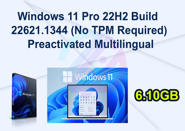 Windows 11 Pro 22H2 Build 22621.1344 (No TPM Required) Preactivated Multilingual