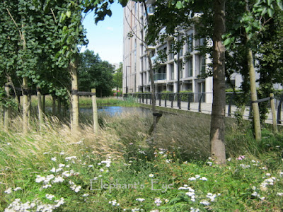 Flats near the Olympic Park