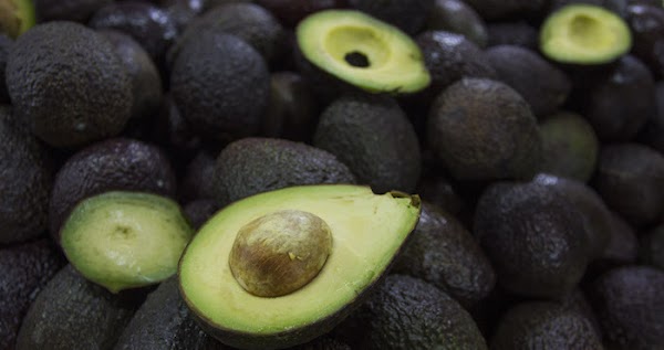 Mexicanos llaman a no enviar ni un solo aguacate a EU, ¿Estas de acuerdo? Comparte