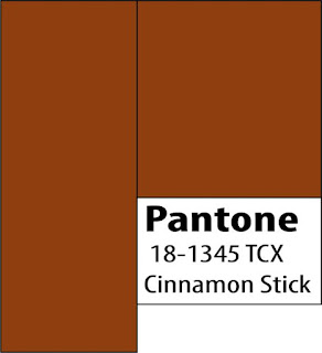 2020 Color Palette pantone Cinnamon Stick