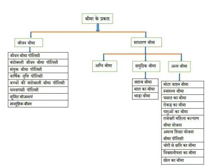 बीमा एवं बैंक के प्रकार  / BIMA AVM BANK KE PEAKAR NOTES IN HINDI PDF