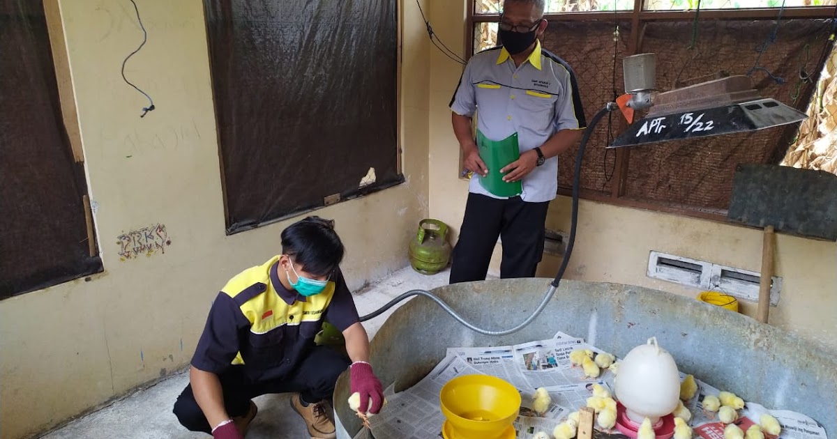 Syarat Pendaftaran Smk Citra Medika Sragen / Syarat ...