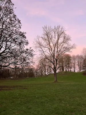 Luitpoldparkの夕暮れの風景