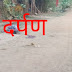 छत्तीसगढ़ : जिला बीजापुर के थाना बासागुड़ा क्षेत्रान्तर्गत पुसबका मार्ग पर 3 लोगों की- हत्या।
