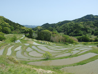 大山千枚田