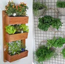 Creative ideas to transform the garden on a budget this year