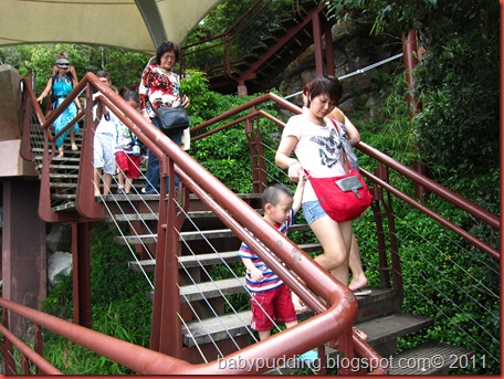 IMG_2136 IMG_2136