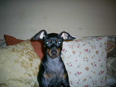 A EVA
