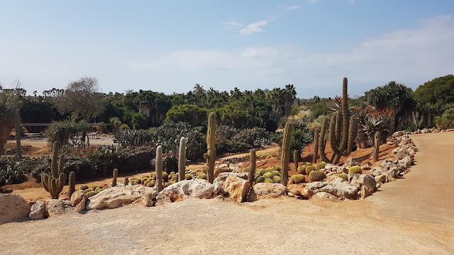 Botanicactus Botanischer Garten Mallorca