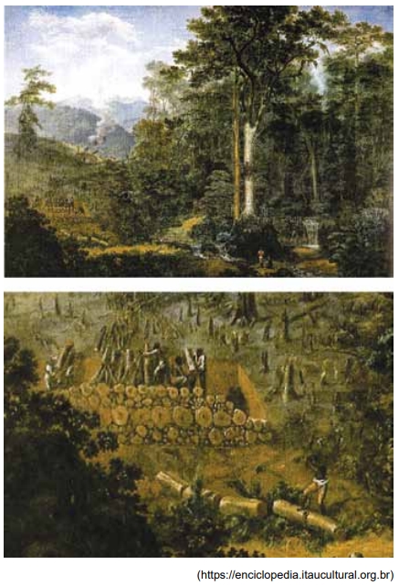 Observe as imagens do quadro Mata reduzida a carvão, pintado em 1830 por Félix-Émile Taunay.