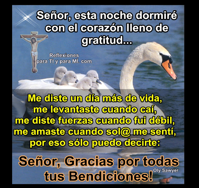 Me diste un día más de vida, me levantaste cuando caí, me diste fuerzas cuando fui débil, me amaste cuando sol@ me sentí, por eso sólo puedo decirte:  SEÑOR, GRACIAS  POR TODAS TUS BENDICIONES