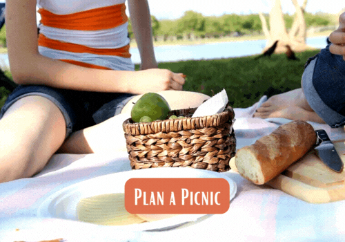 Plan a Picnic for her