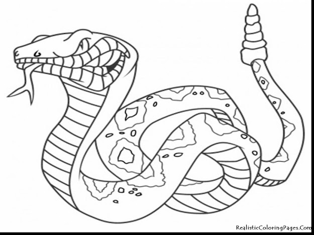 Wonderful Realistic Coloring Pages Of Snakes With Realistic Animal Coloring  Pages And Realistic Farm Animal Coloring