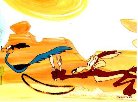 wile e coyote and roadrunner