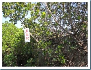 DSCN1834