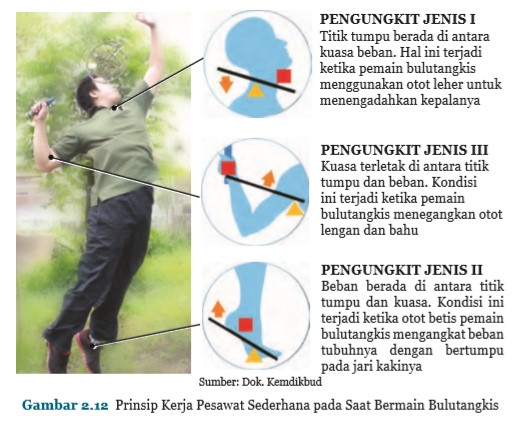 Hasil gambar untuk prinsip pesawat sederhana dalam gerak manusia