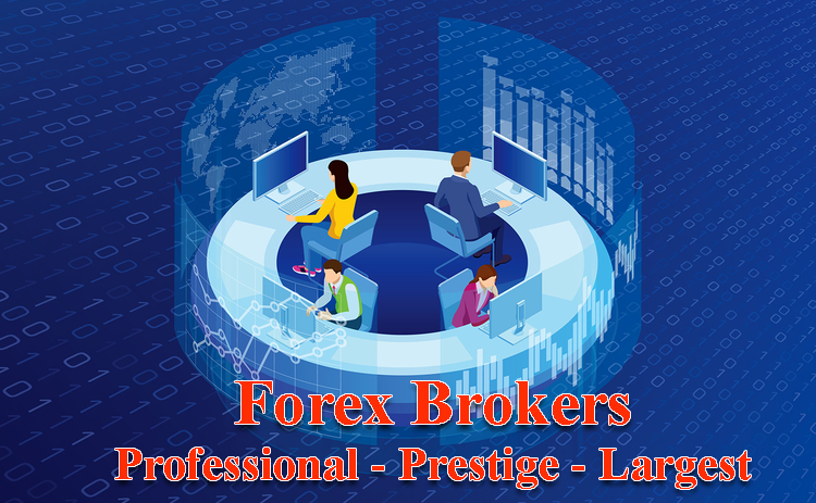 Search Forex Brokers: Professional - Prestige - Largest