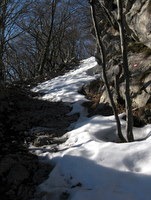 Sneg na poti od Sv. Brica na vrh
