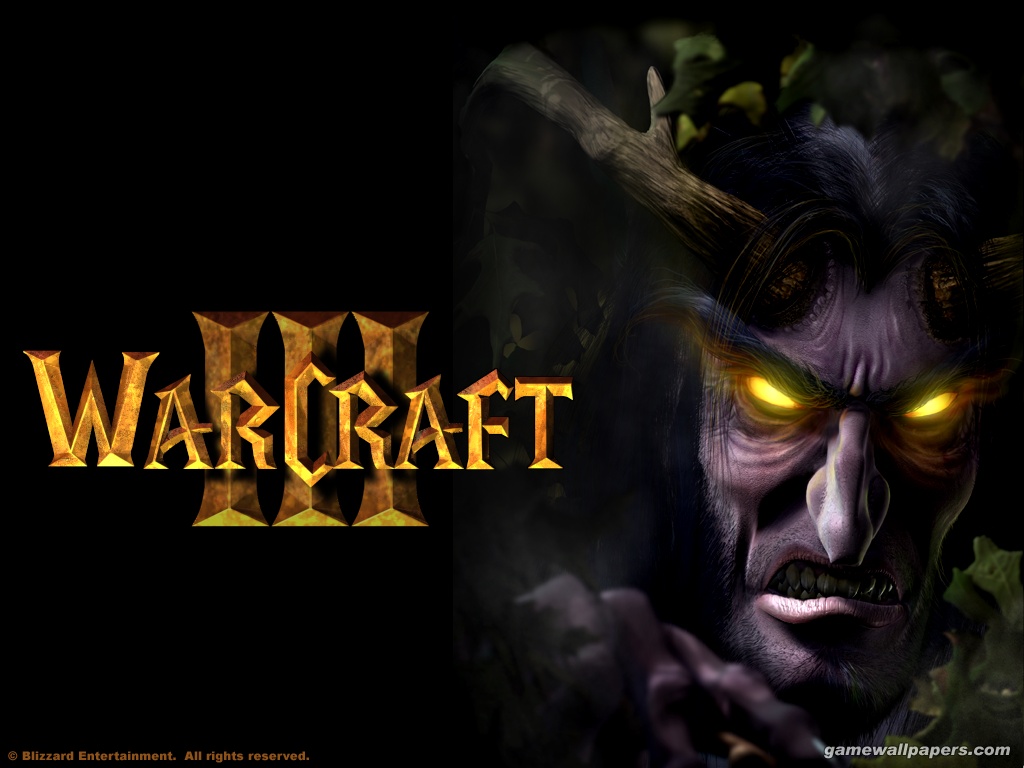 Warcraft III Reign of Chaos + The Frozen