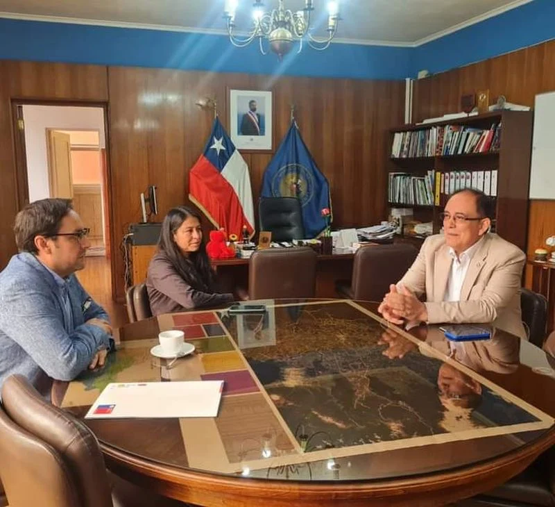 Pablo Flores Merino, Claudia Pailalef y Emeterio Carrilo