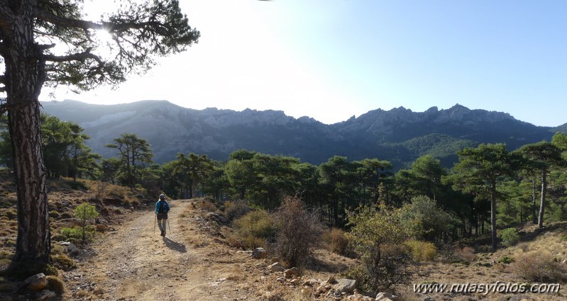 Pico Cabañas