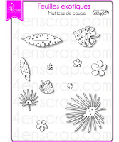 http://www.4enscrap.com/fr/les-matrices-de-coupe/765-feuilles-exotiques-4002061602250.html