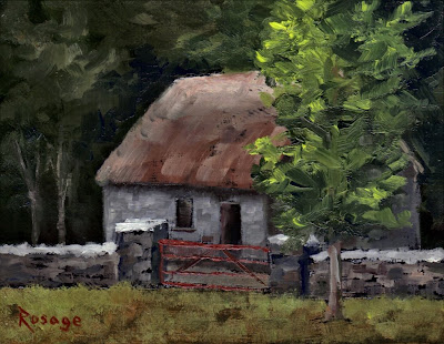 still working thatched roof village. Believe it or not, although Ireland