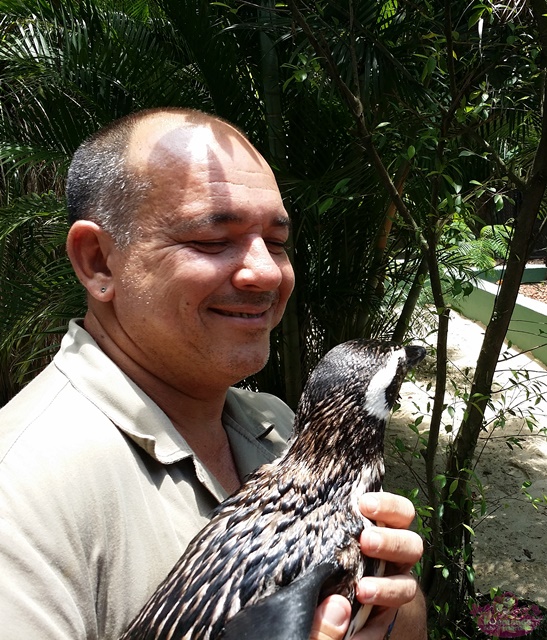 Novo Zoo do Rio